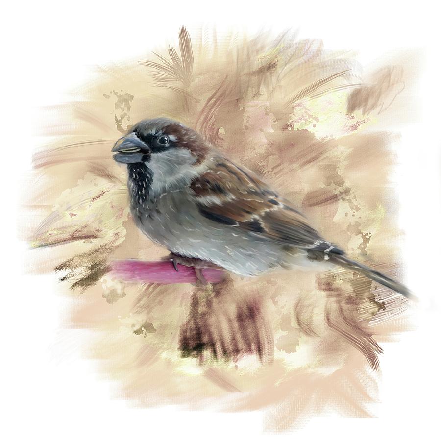 Little Sparrow Digital Art by Mary Timman