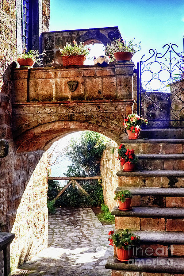 Little Stone Arch with Flowers Photograph by George Oze - Fine Art America