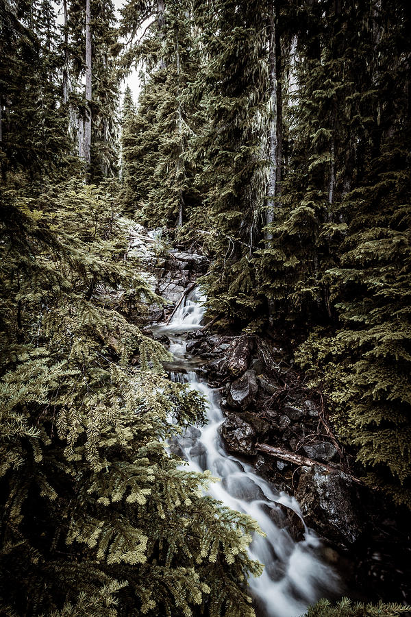 Little Stream in north cascades national park Photograph by Mati Krimerman
