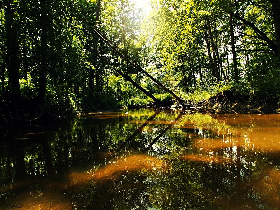 Nature Photograph - Little Sugar River by Belinda Olivastri