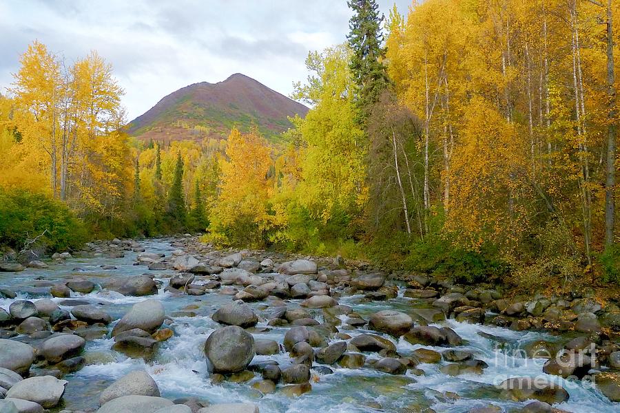 Little Susitna River Photograph by Scott Henry - Fine Art America