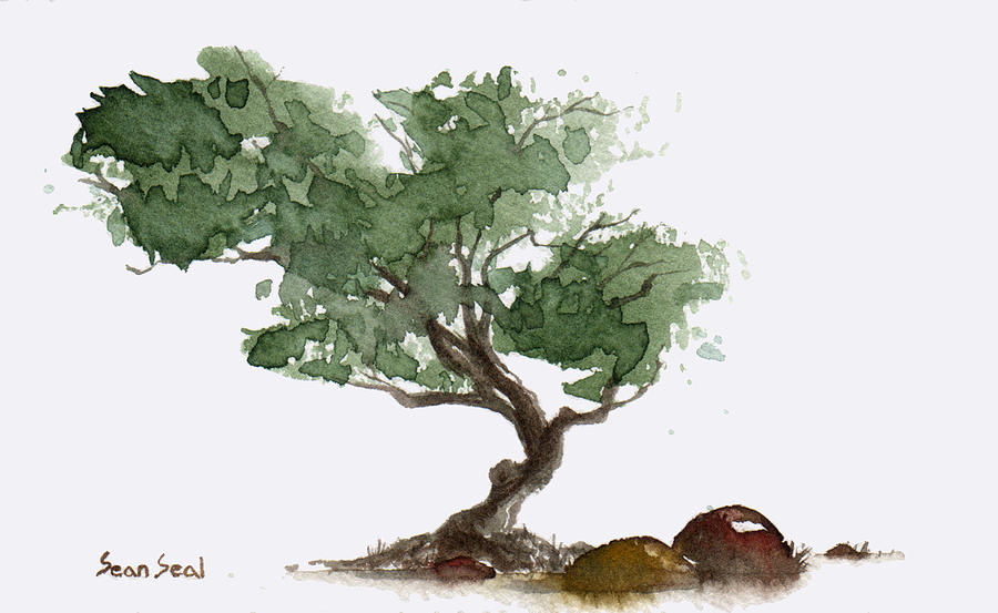 Tree Painting - Little Tree 1 by Sean Seal