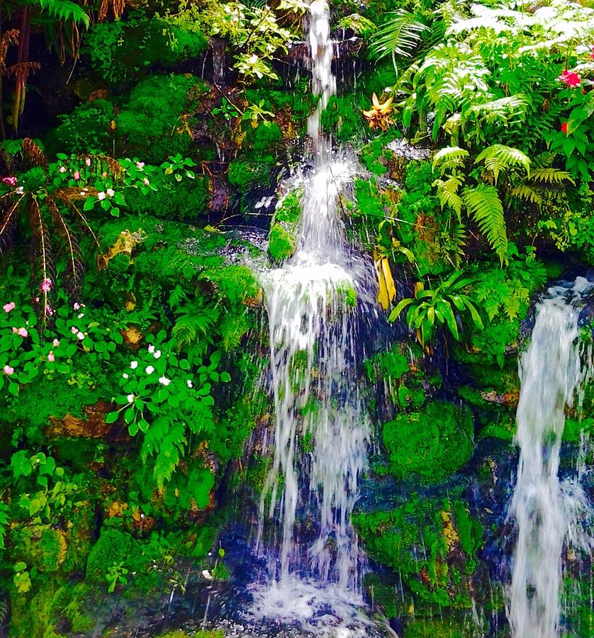 Little Waterfall Photograph by Shannen's Passion - Fine Art America