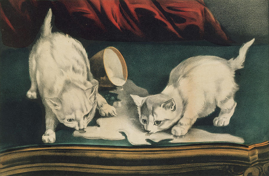 Little white kitties into mischief                                                      Painting by Matthias Hauser