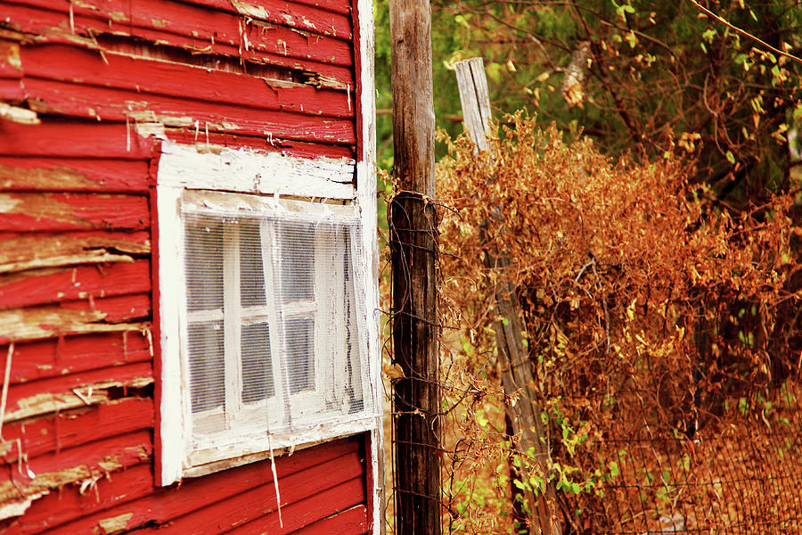 Barn Photograph - Little White Window by Toni Hopper