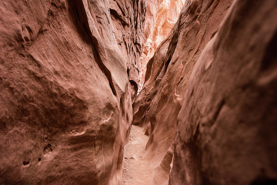 Little Wild Horse Canyon Photograph by Jennifer Ancker