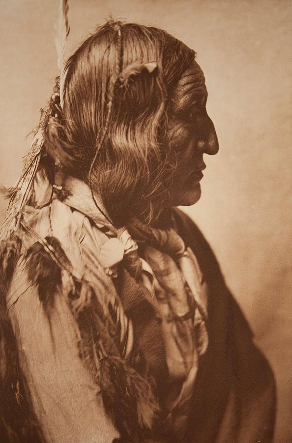 Feather Painting - Little Wolf - Cheyenne , Native American by Edward Sheriff Curtis, 1868 - 1952 by Celestial Images