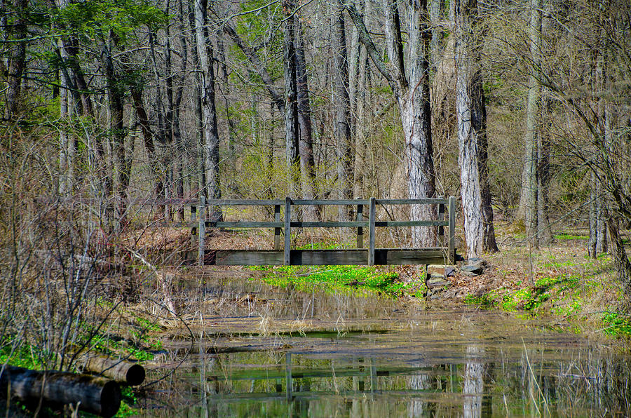 Little Wooden Bridge - Ralph Stover State Park  Photograph by Bill Cannon