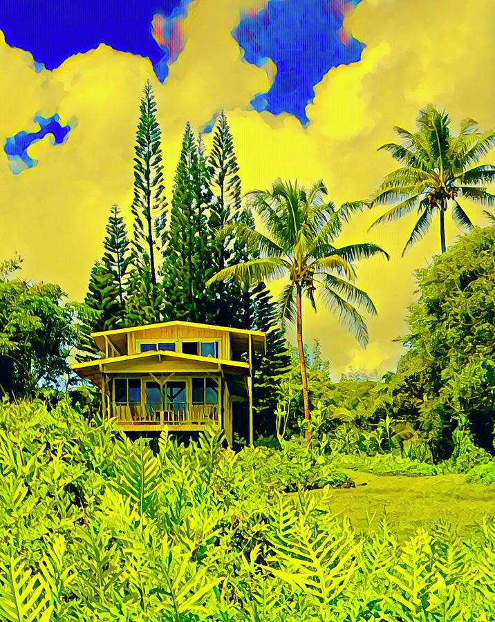 Little Yellow Hale on the Wa Wa Aloha Photograph by Joalene Young