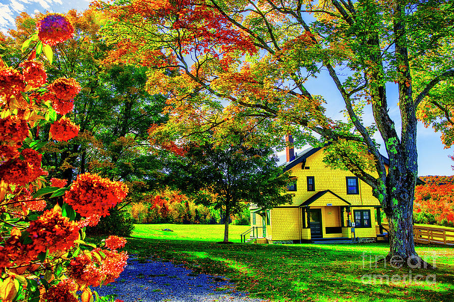 Little Yellow House Photograph by Rick Bragan