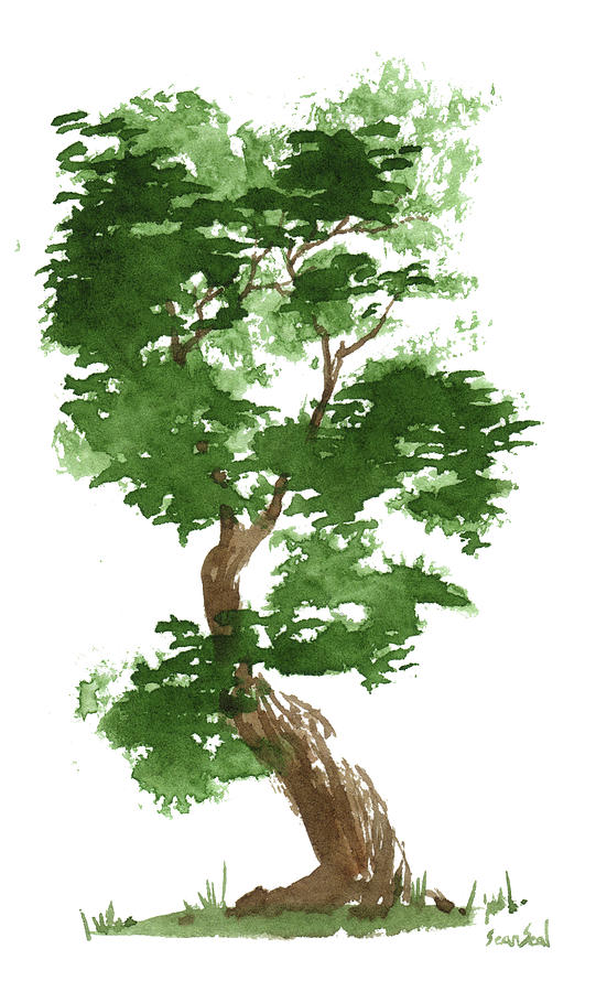 Tree Painting - Little Zen Tree 311 by Sean Seal