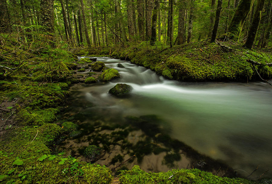 Little Zig Zag River Photograph by Douglas Arnet