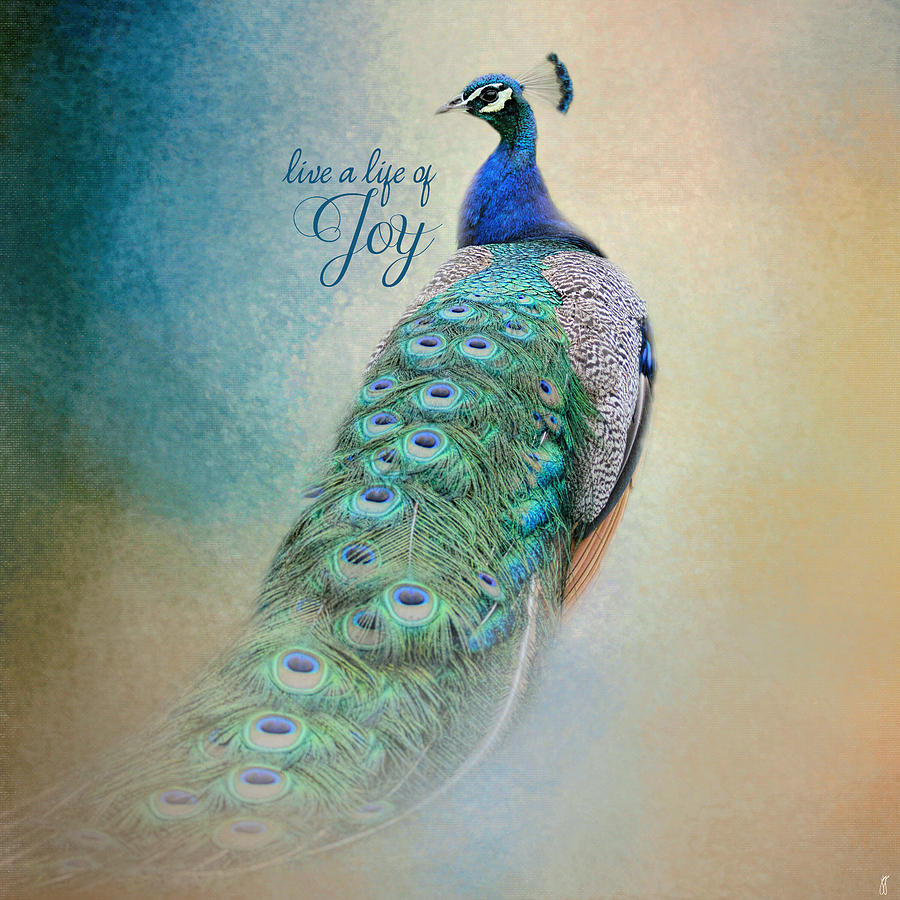 Live A Life of Joy - Peacock Art Photograph by Jai Johnson