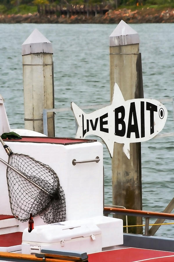 Live Bait Photograph by Art Block Collections