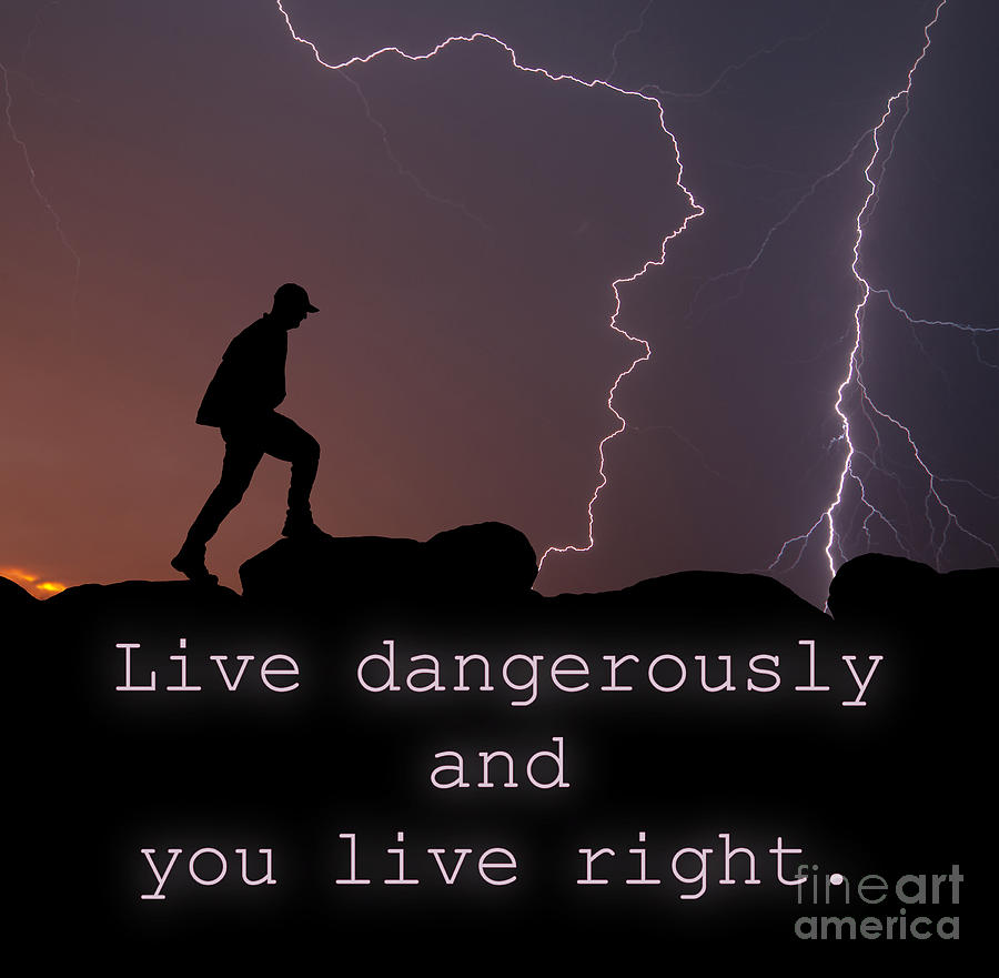 Live Dangerously Photograph by Sari ONeal