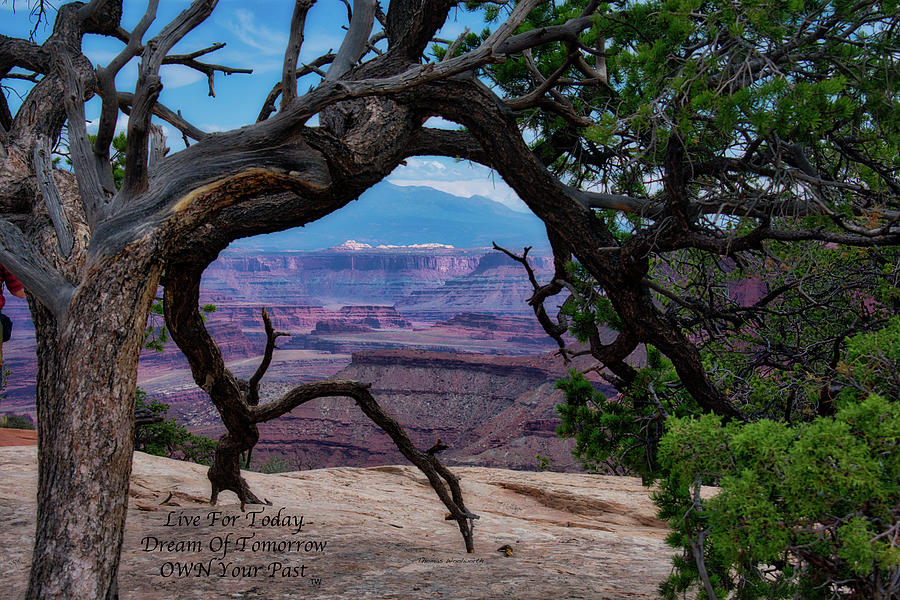 Live Dream Own Canyonlands National Park Utah Text 02 Photograph by Thomas Woolworth