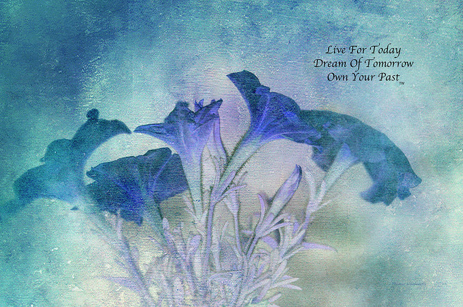 Live Dream Own Floral Blue Textured Text Photograph by Thomas Woolworth