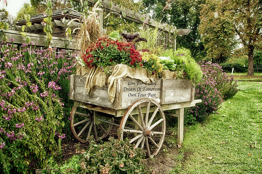Live Dream Own Floral Garden Cart Text Photograph by Thomas Woolworth