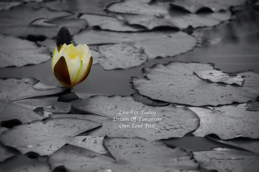 Live Dream Own Floral Waterlily Text Photograph by Thomas Woolworth
