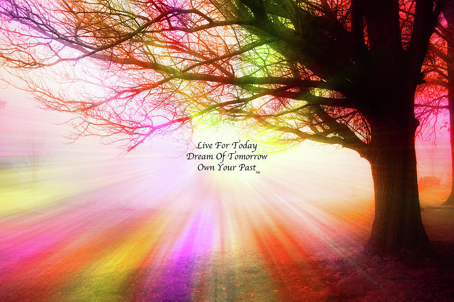 Live Dream Own Fog By The Sleepy Pin Oak Text Photograph by Thomas Woolworth