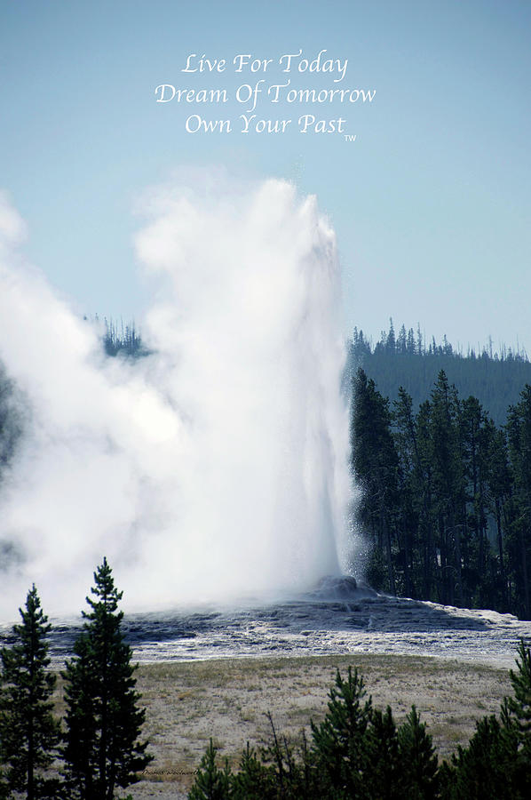 Live Dream Own Yellowstone Park Old Faithful Vertical Text Photograph by Thomas Woolworth