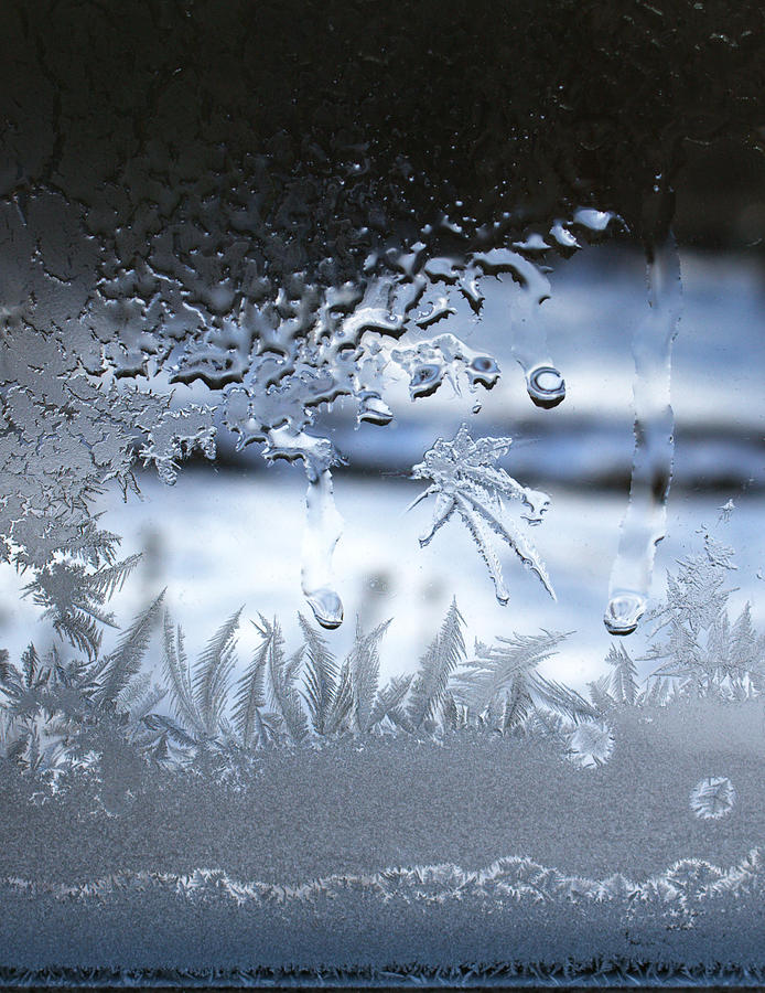 Ice Photograph - Live In The Moment by Liz Allyn Ice Photograph - Live In The Moment by Liz Allyn