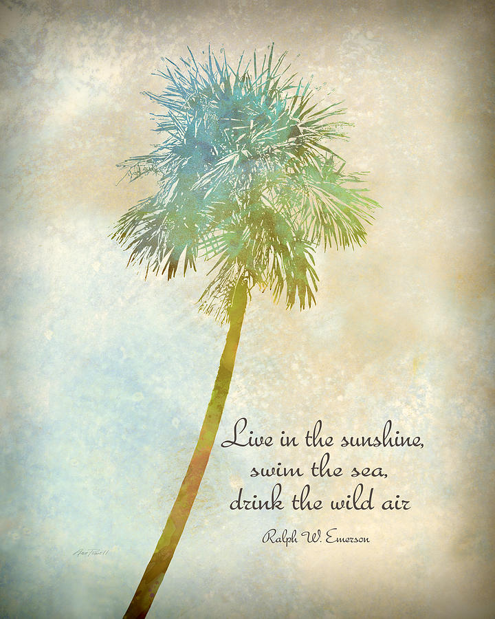Nature Photograph - Live In The Sunshine - nature art by Ann Powell