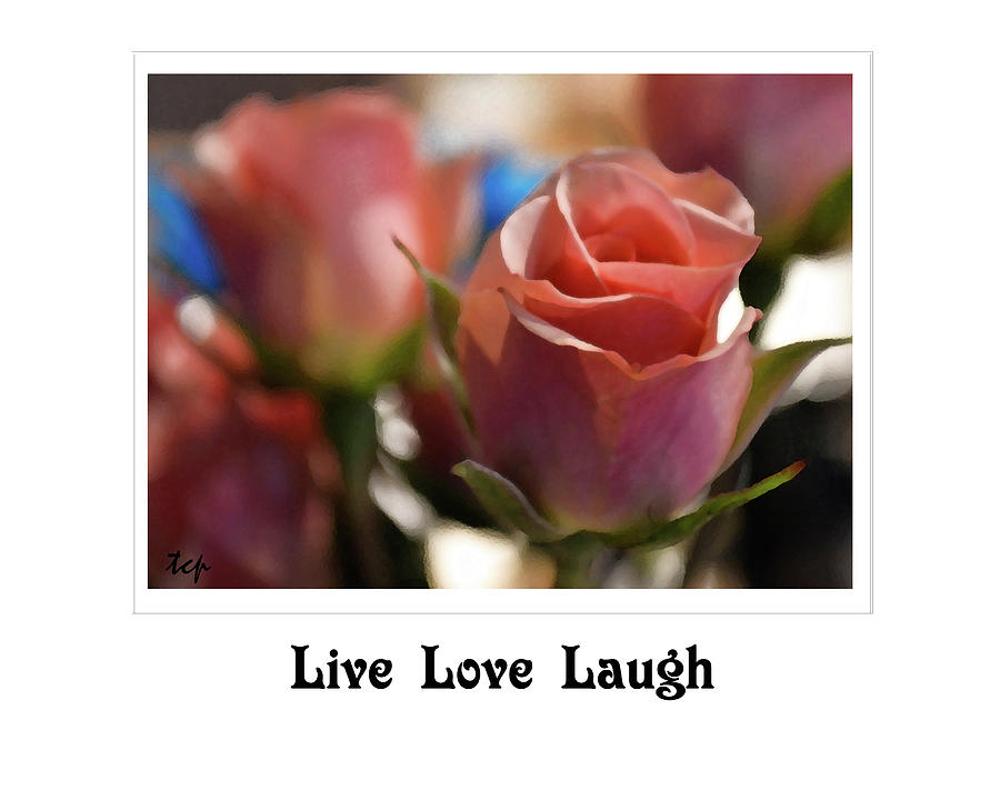 Live Love Laugh Photograph by Traci Cottingham