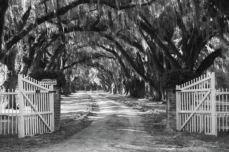 Southern Photograph - Enter By the Gate by Jeanne Jackson