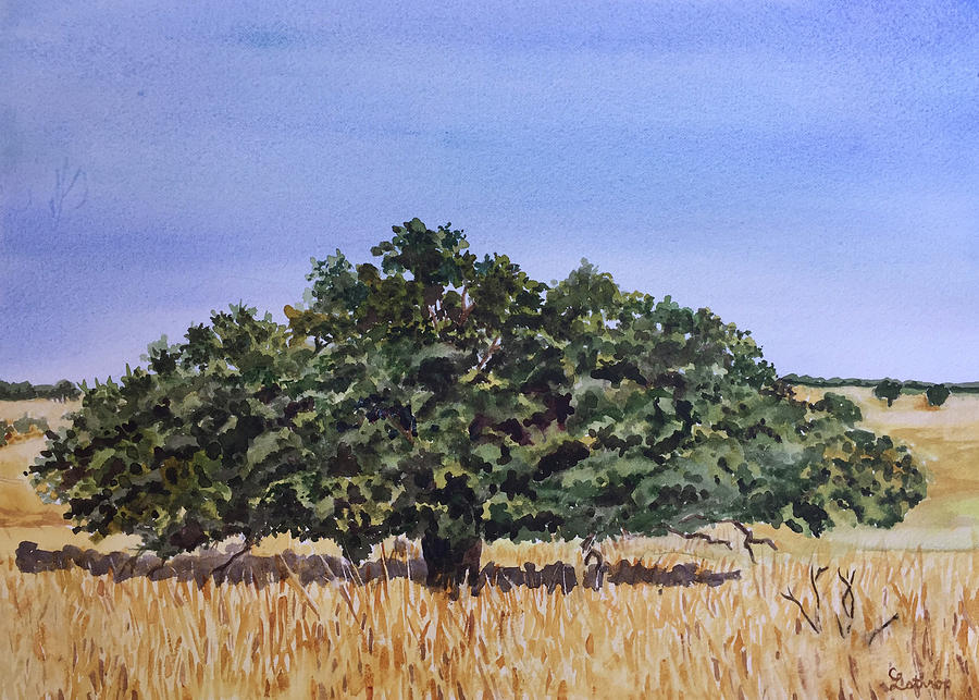 Live Oak Painting by Christine Lathrop