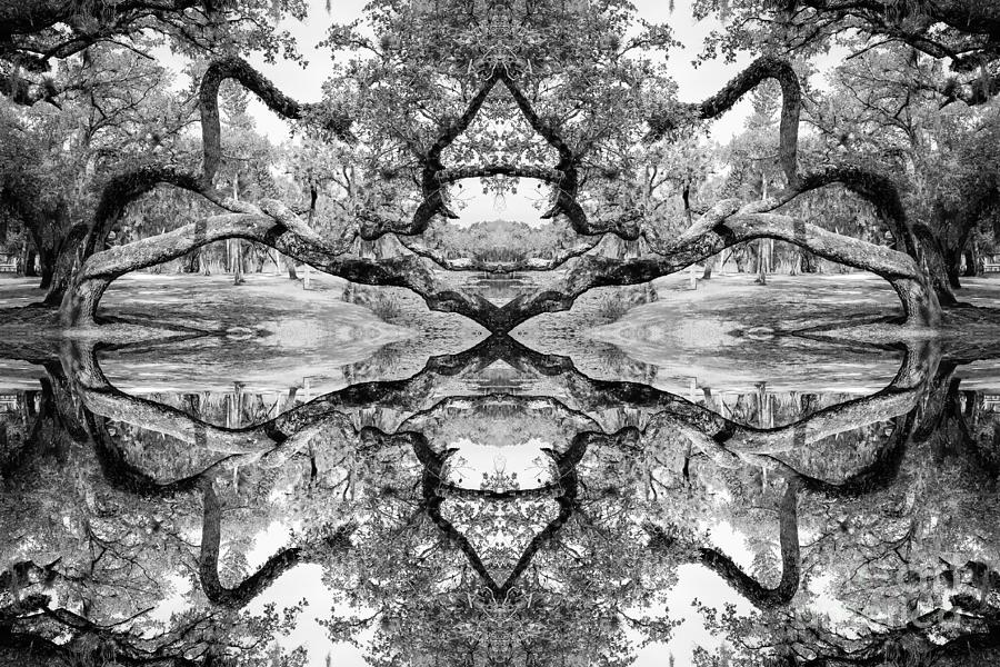Live Oak Kaleidoscope, Black and White Photograph by Liesl Walsh