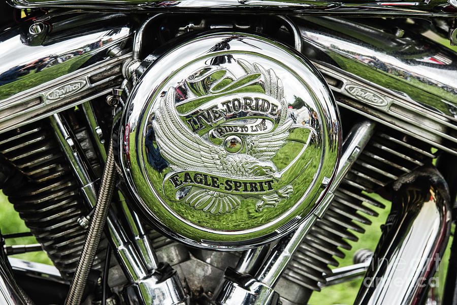 Live to Ride Eagle Spirit Photograph by Tim Gainey | Fine Art America