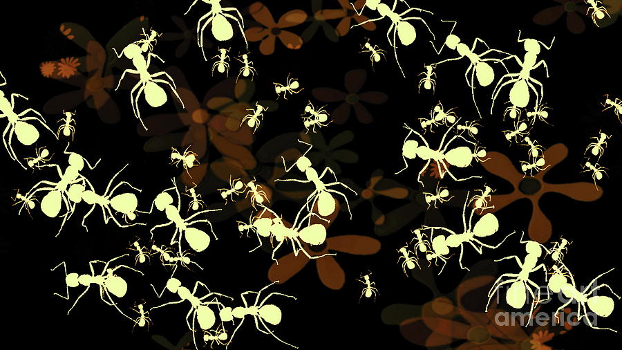 Lives of Ants Digital Art by Tim Richards