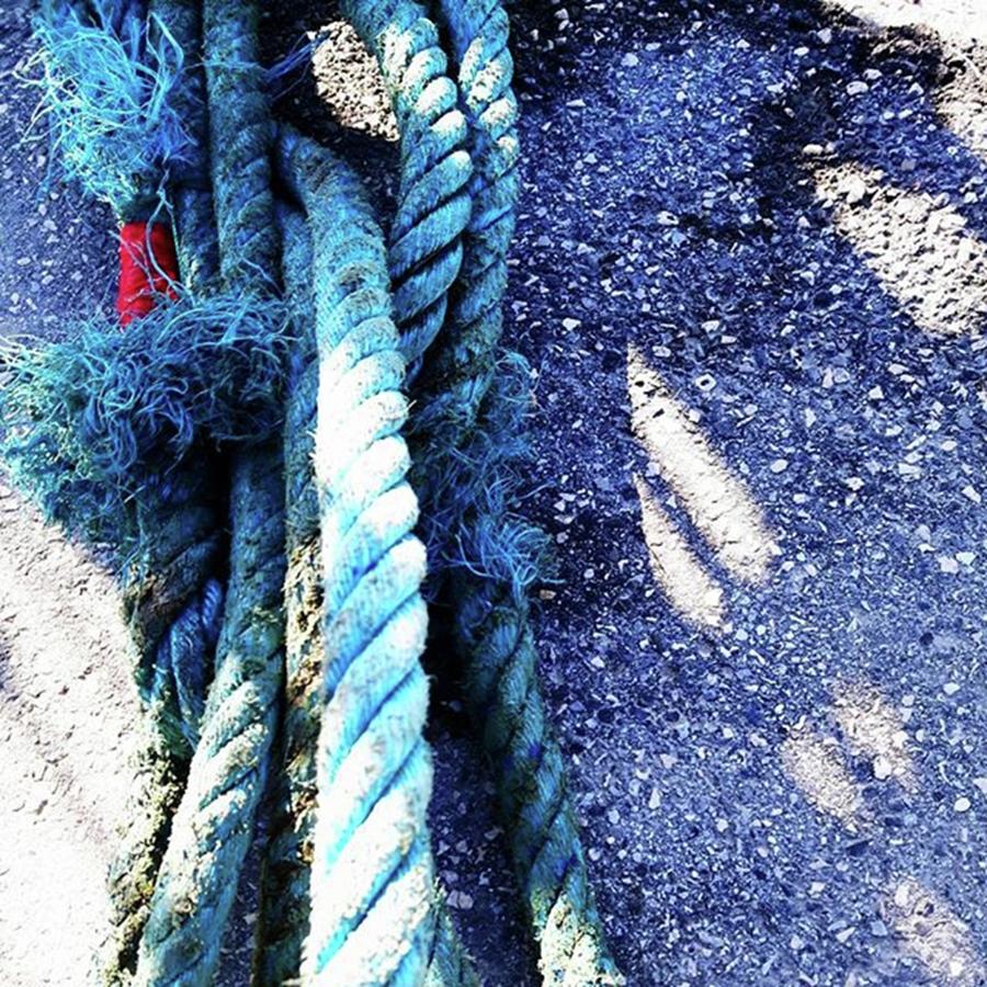Rope Photograph - Living By The Sea Is A Pleasure.
{ by Crinco Lee