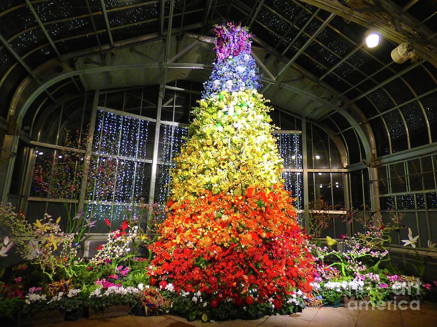 Living Color Christmas Tree Photograph by Jean Wright