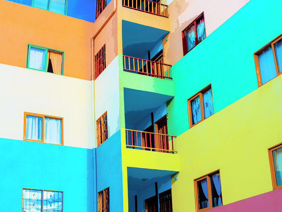 Living Color Photograph by Dominic Piperata