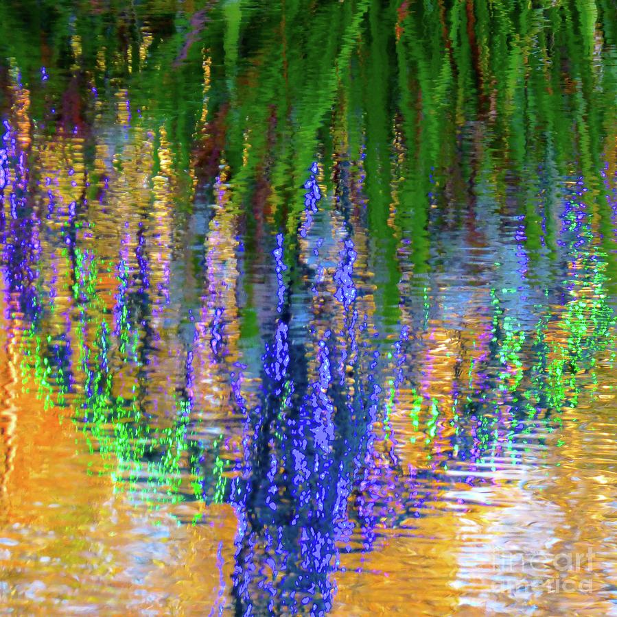 Living Color Reflection Photograph by Jean Wright