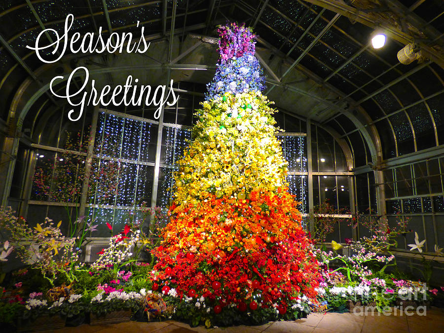 Living Color Seasons Greetings Photograph by Jean Wright
