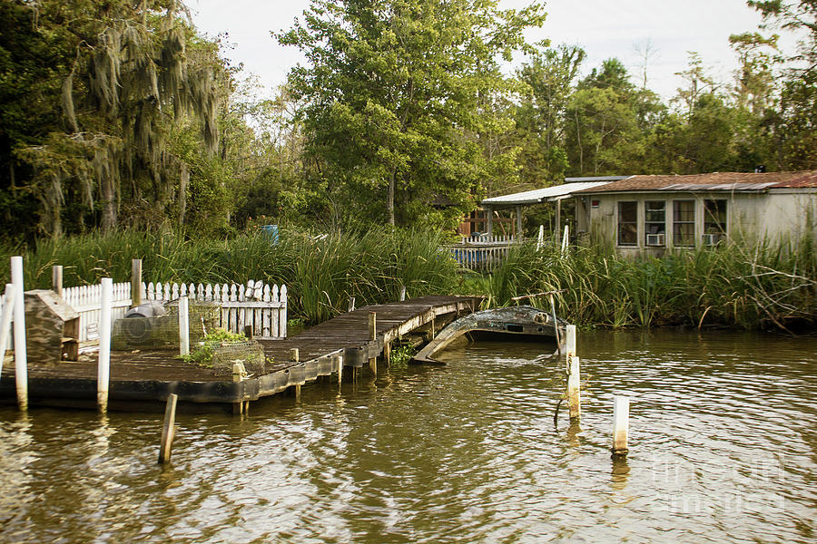 Living In the Bayou Photograph by Steven Parker