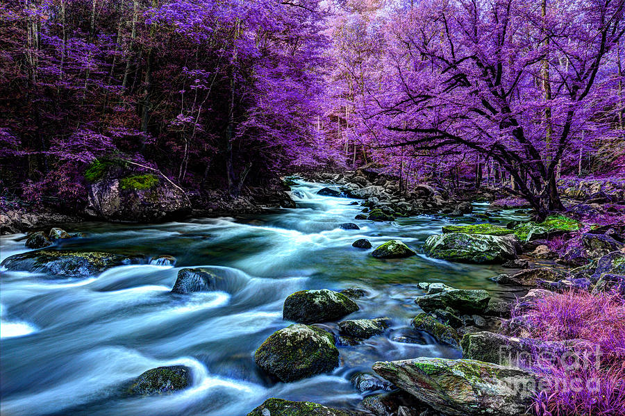 River Scene Photograph - Living In Yesterdays Dream by Michael Eingle
