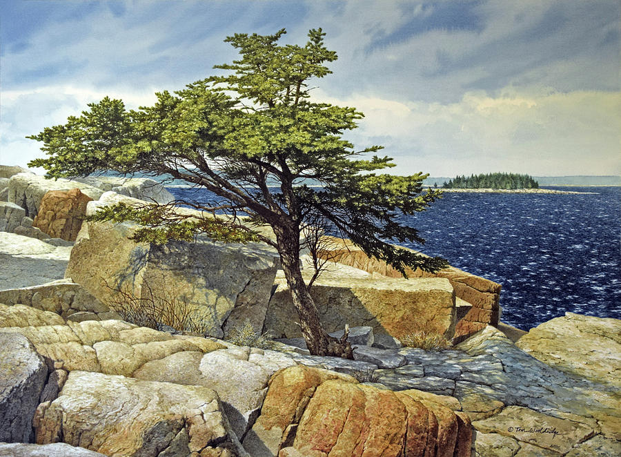 Living Rock Painting by Tom Wooldridge
