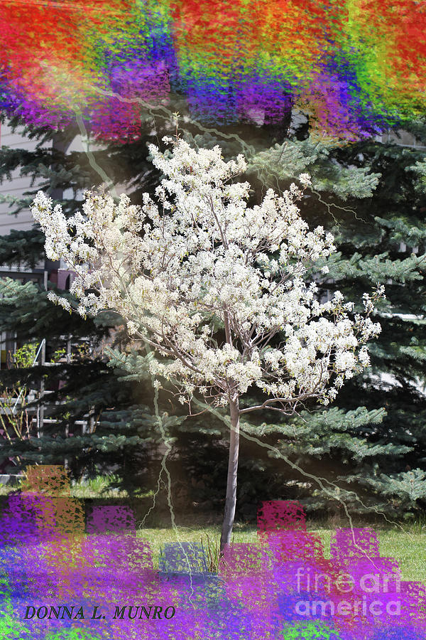 Living Tree Digital Art by Donna L Munro