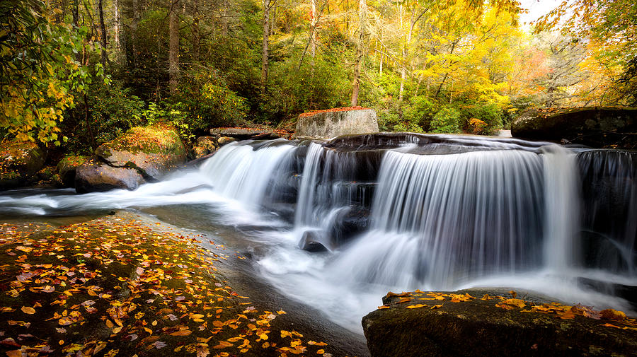 Living Waters by Tommy White Living Waters by Tommy White