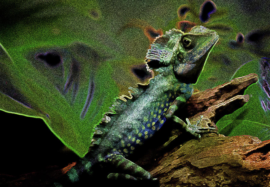 Lizard Photograph by Bill Wiebesiek