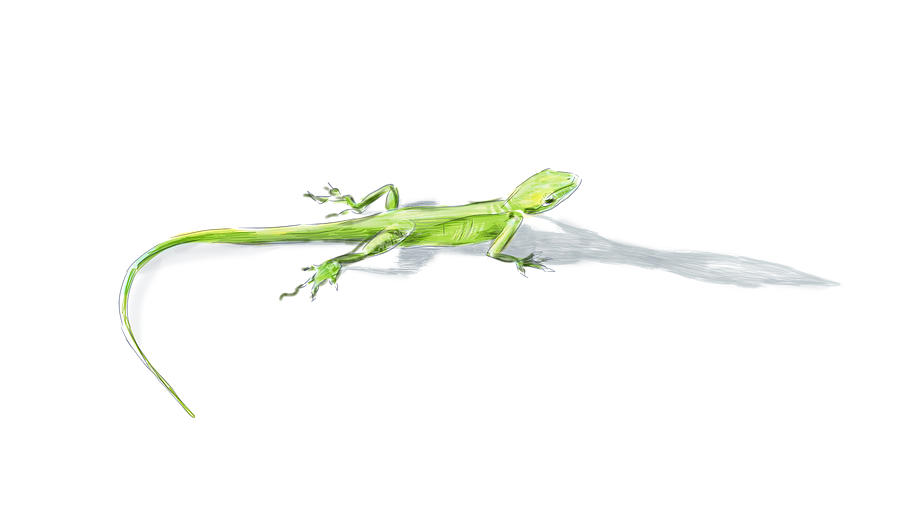 Lizard casting a long shadow Digital Art by Thomas Hamm