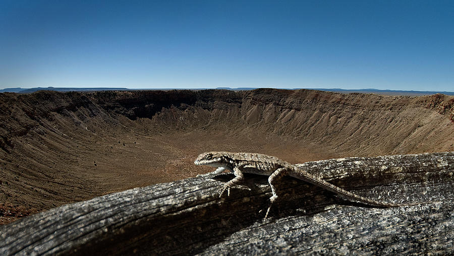 Lizard Crater Photograph by Murray Bloom
