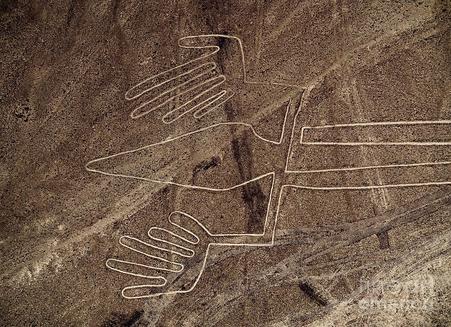 Lizard Geoglyph,nazca, Peru Photograph By Karol Kozlowski - Pixels