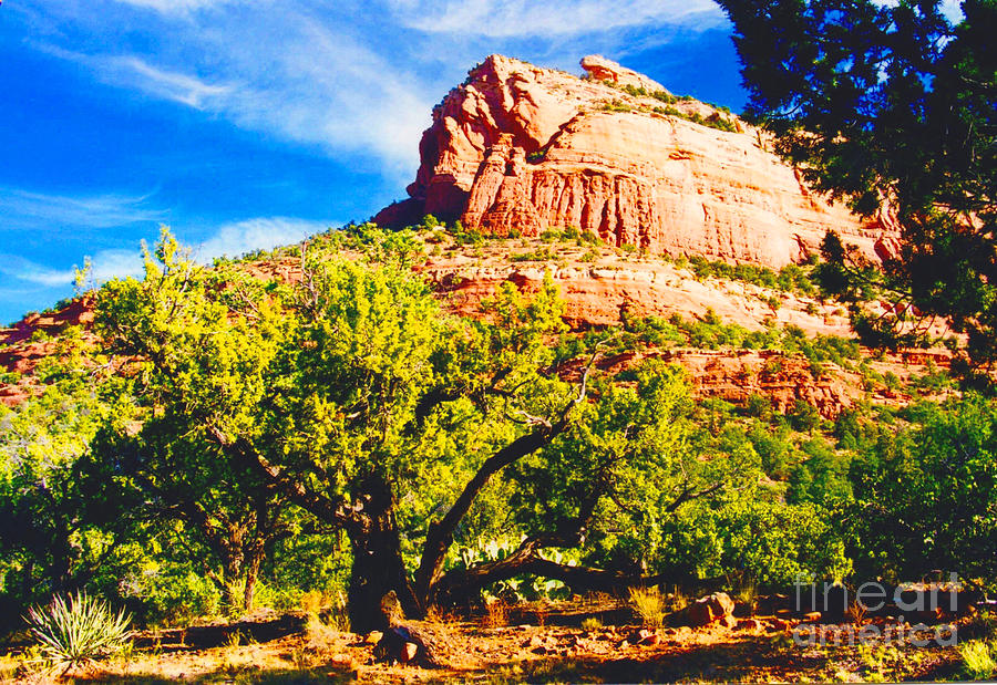 Mountain Photograph - Lizard Head Rock Sedona Arizona by Jerome Stumphauzer