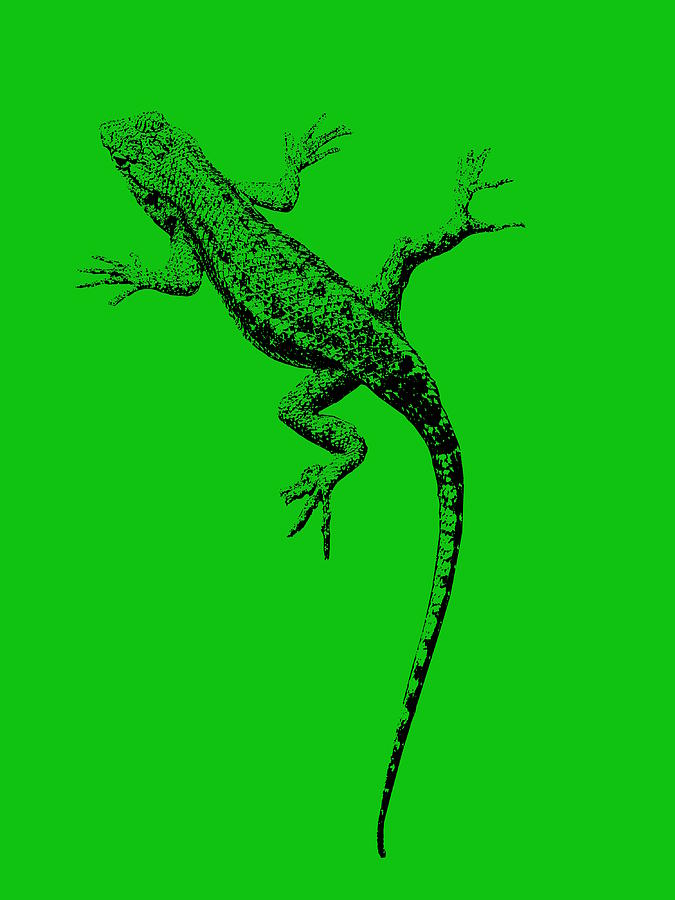 Lizard Photograph - Lizard in Green by Colleen Cornelius