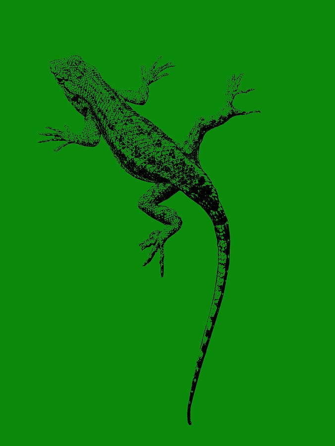 Lizard in Hunters Green Photograph by Colleen Cornelius